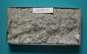 img_panel12